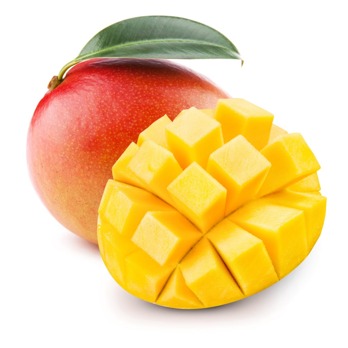 Mango Mango A Multifaceted Exploration - Paraiso Island