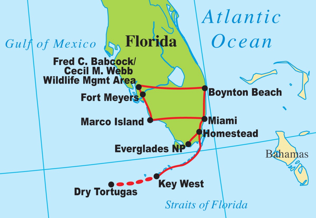 Map of marco island