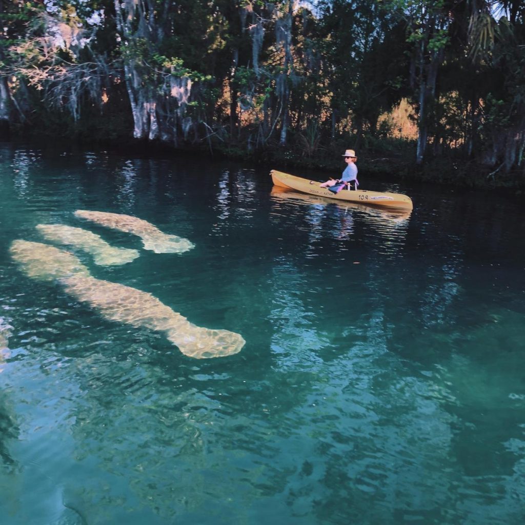 Three Sisters Springs A Natural Wonder - Paraiso Island