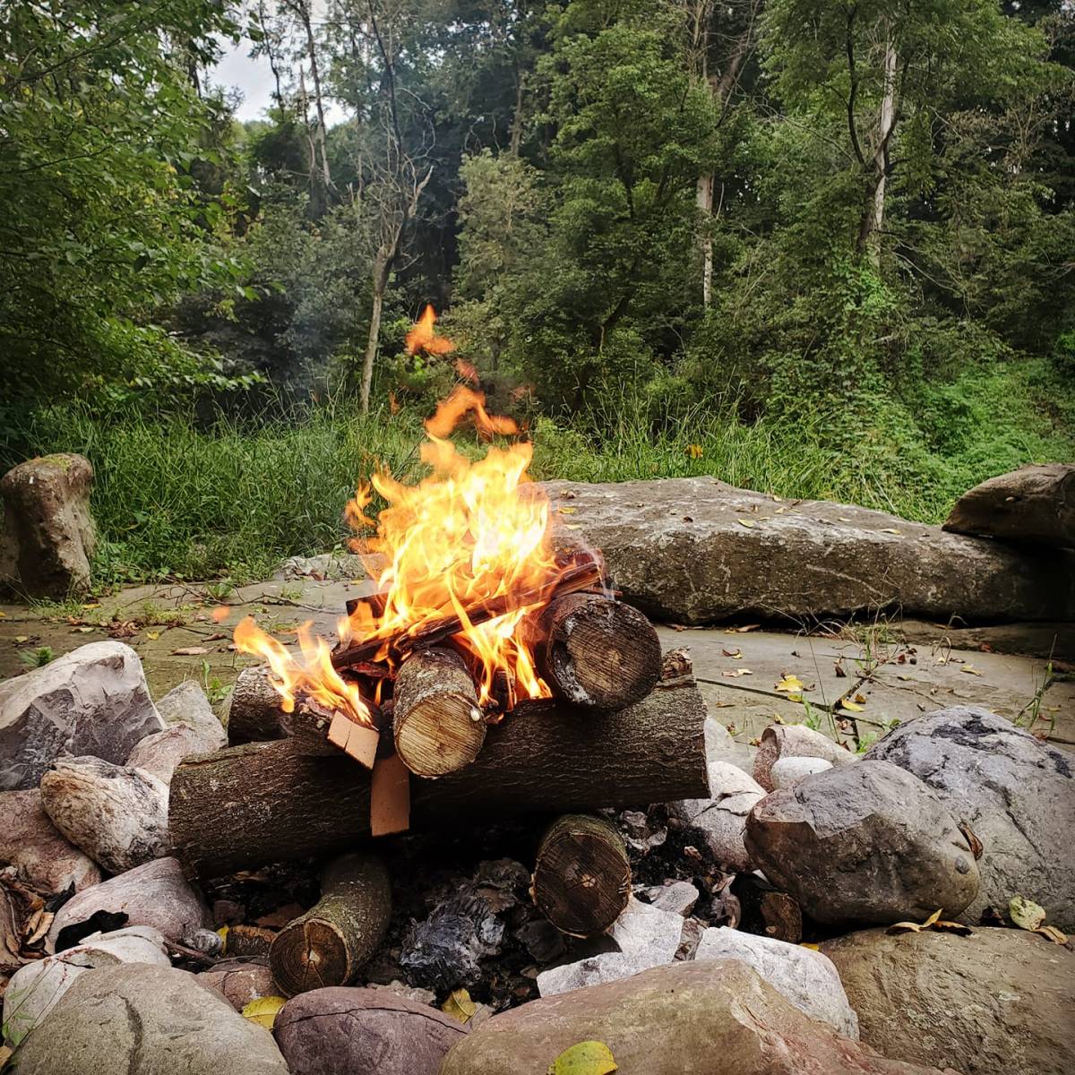 Fire pit restaurant