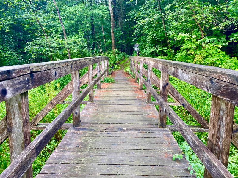 Wolcott family natural area