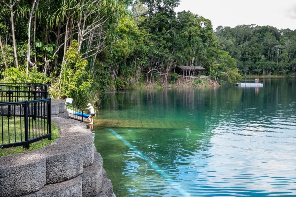 Lake Eacham day-use area | Crater Lakes National Park | Parks and ...