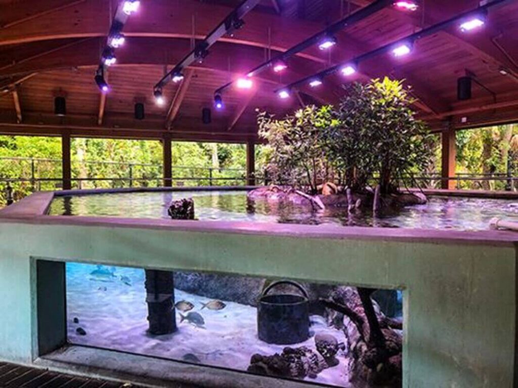 The Upcoming Aquarium in Boca Raton - Diamonds by Raymond Lee